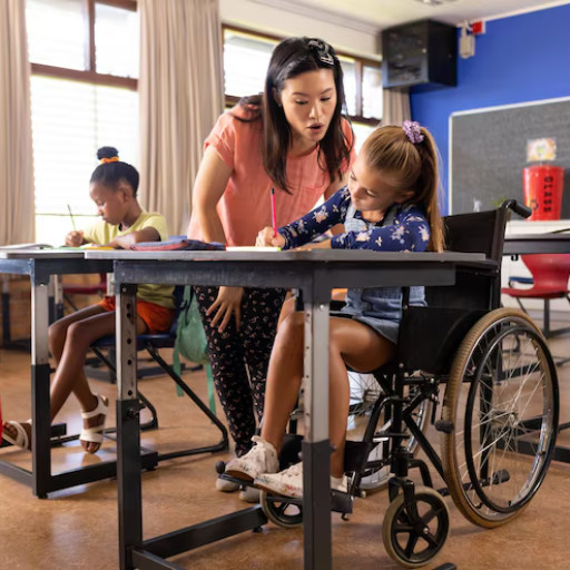 Imagem ilustrativa do curso de Educação Especial e Deficiência Física